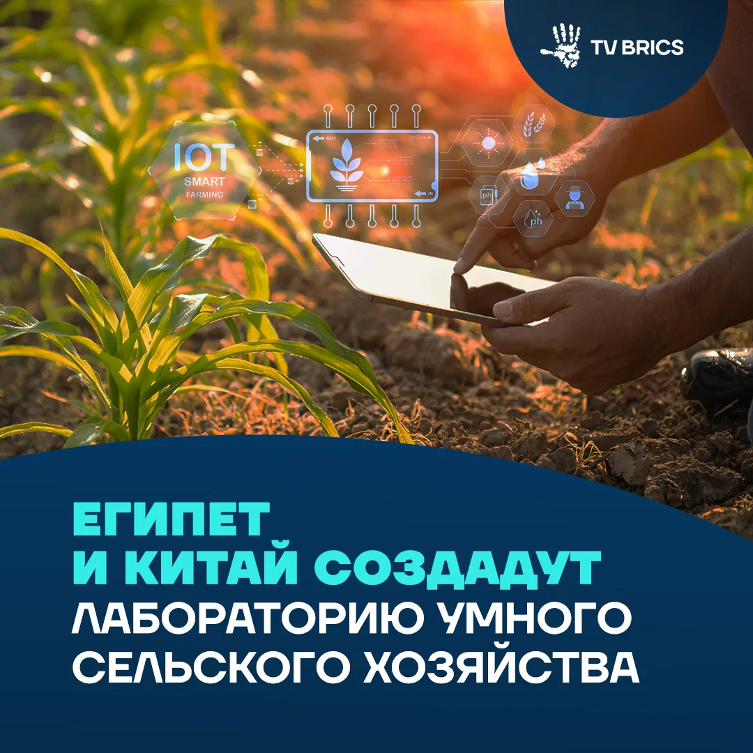 Выращивать больше пшеницы, риса и кукурузы, расходуя меньше воды – такую задачу намерен...
