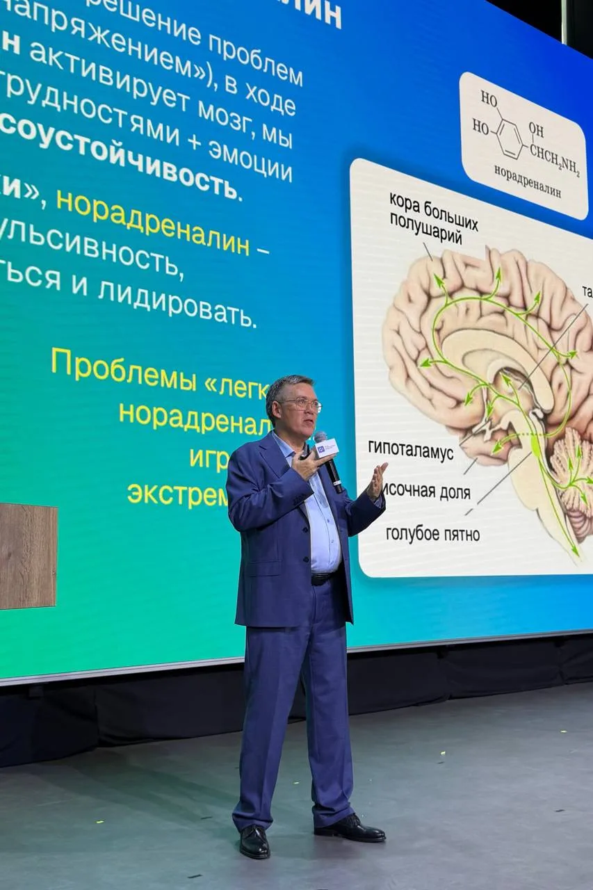 Поиск себя: «Кем мне стать?»