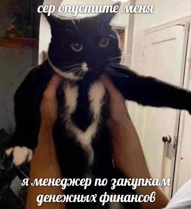 Мемы каждый день • Подписаться
