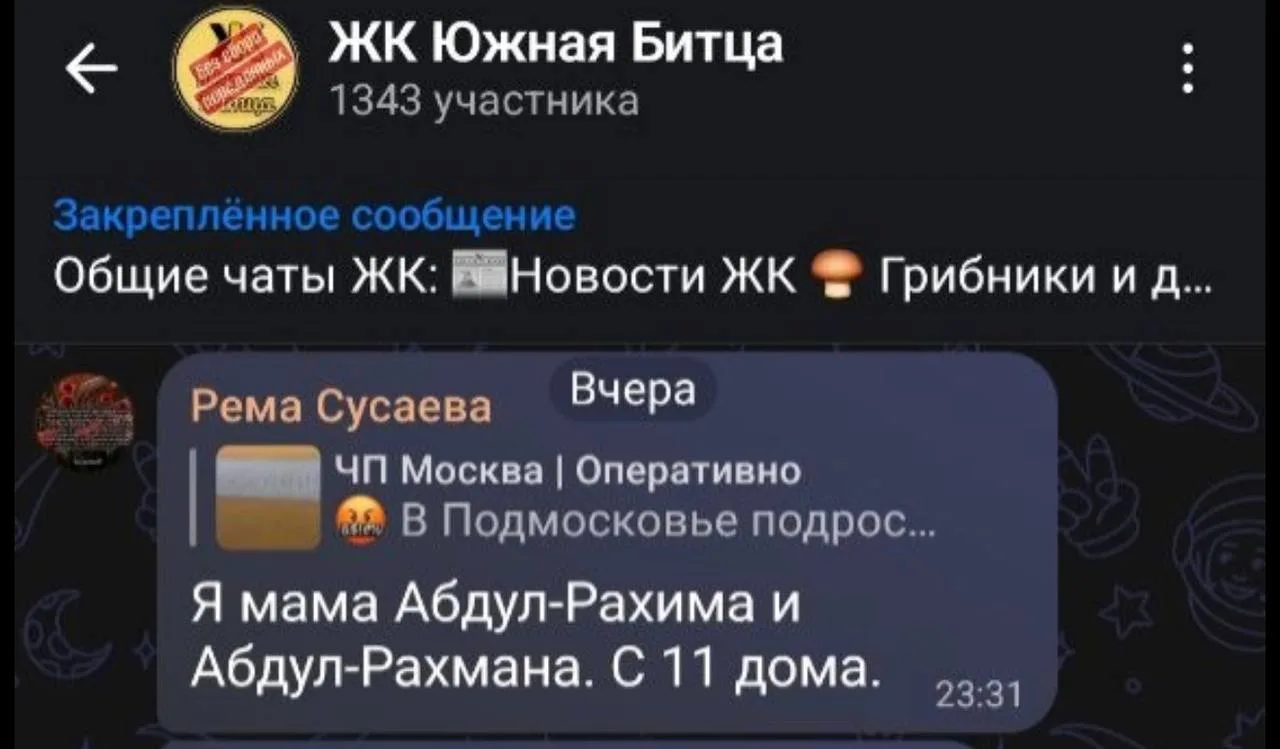 Ничего особенного, просто мамка абу-бандитов, которые терроризируют жителей ЖК «Южная Б...