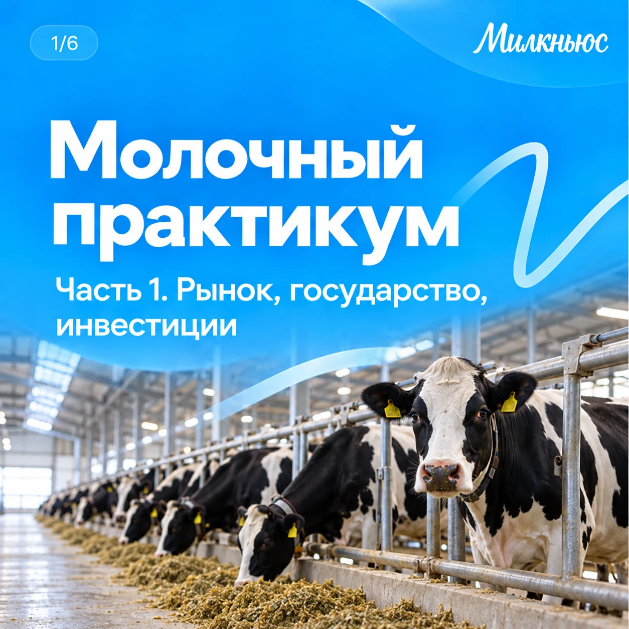 ❓ Какие изменения ждут молочную отрасль и к чему готовиться бизнесу?