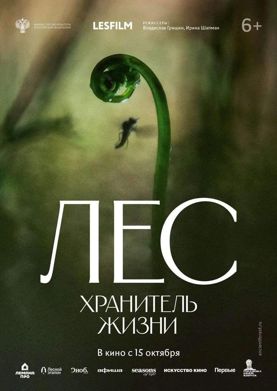 🎬 «Денежкин Камень» — на большом экране!