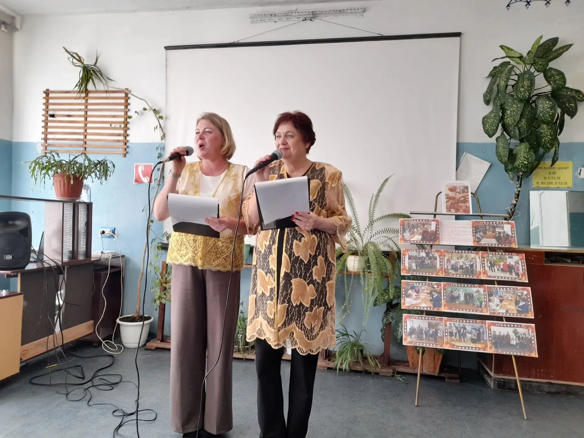 #культура33