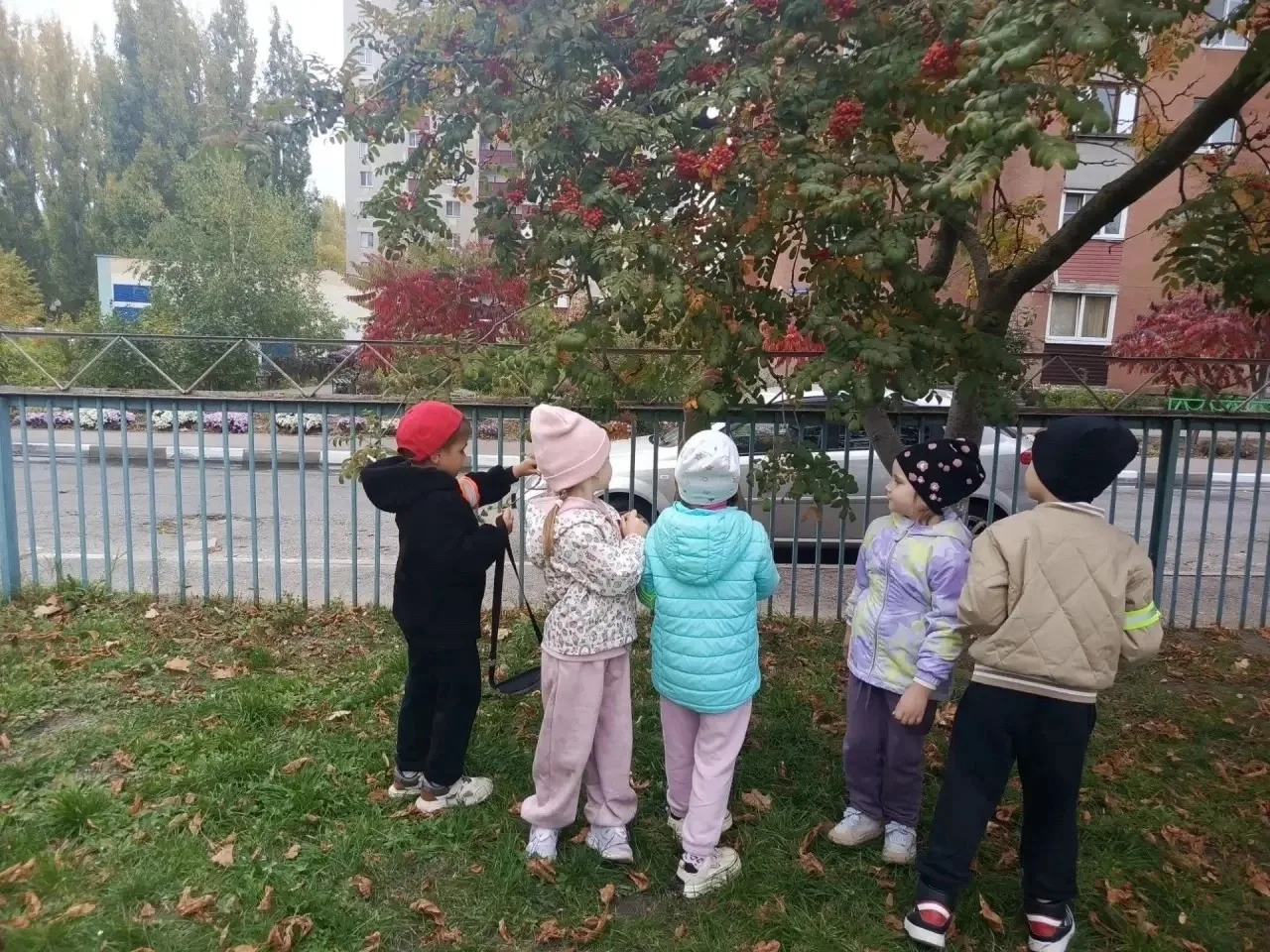🍁 Осенние открытия: учимся, наблюдаем, говорим!