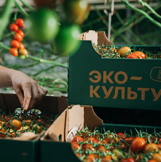 «Эко-культура» не рассматривает банкротство как сценарий развития бизнеса