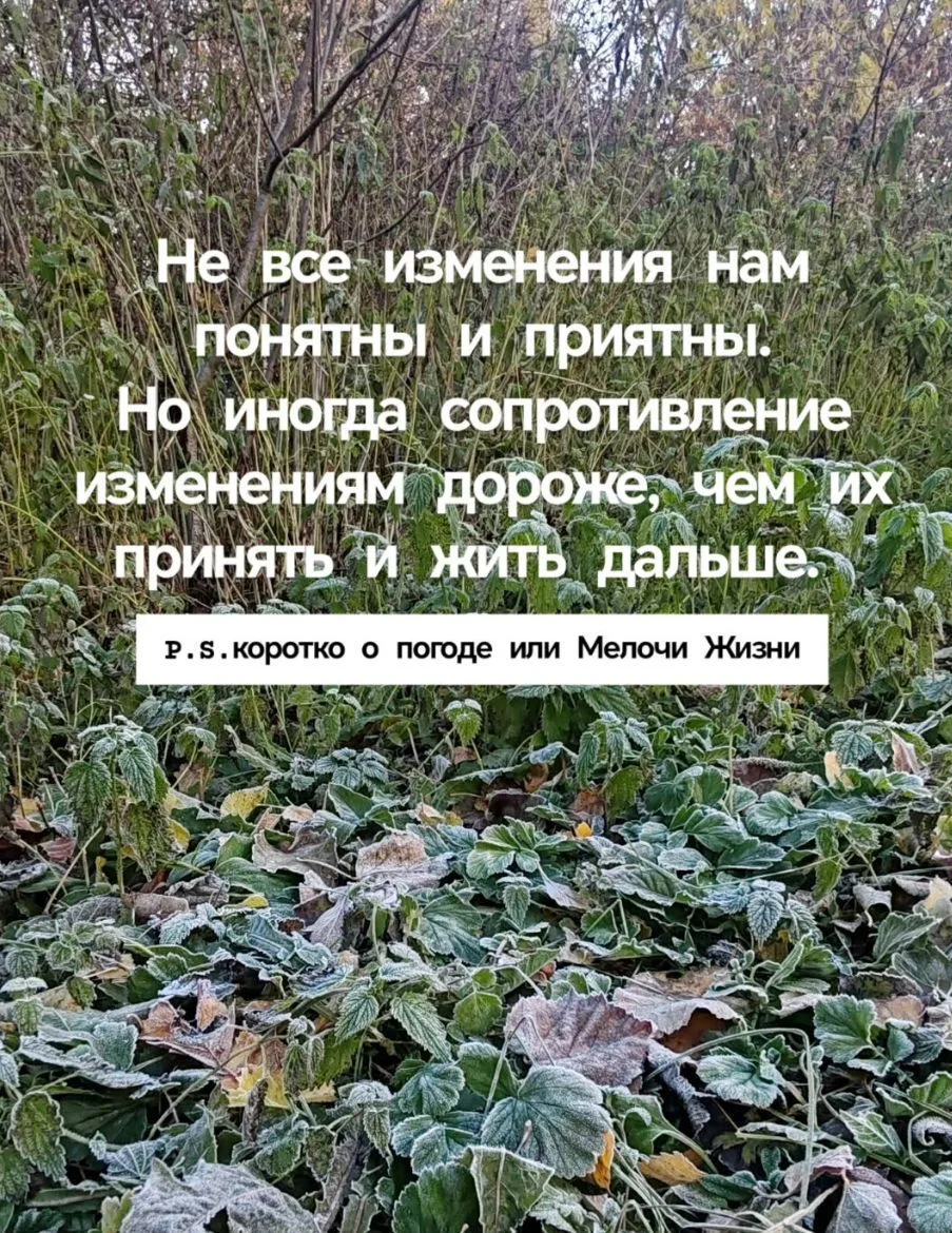 Шеф, всё пропало! Гипс снимают, клиент уезжает!