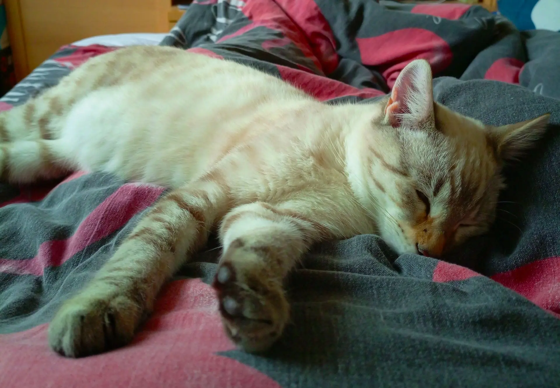Доброй ночи всем 😴