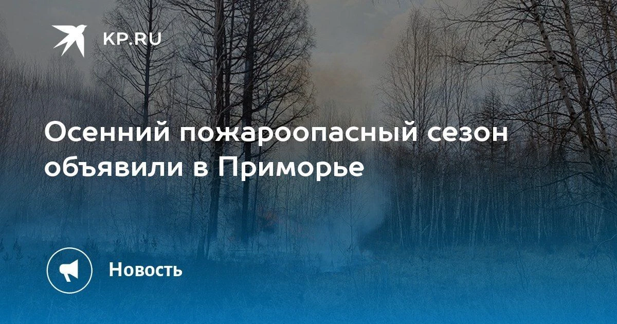 В Приморье объявлен пожароопасный сезон