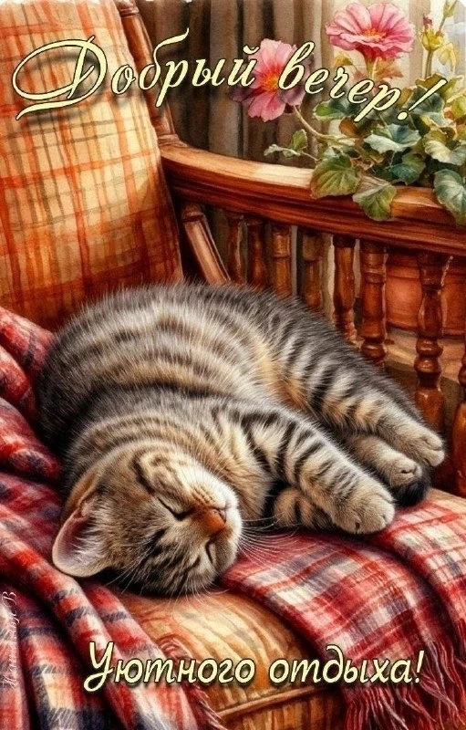 Открытки: подписаться ❤️