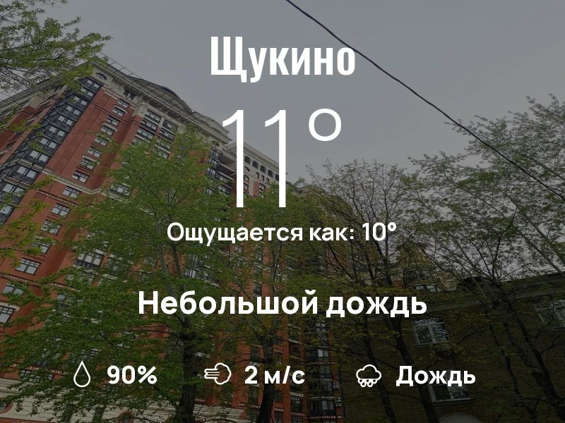 Что с погодой в Щукино?