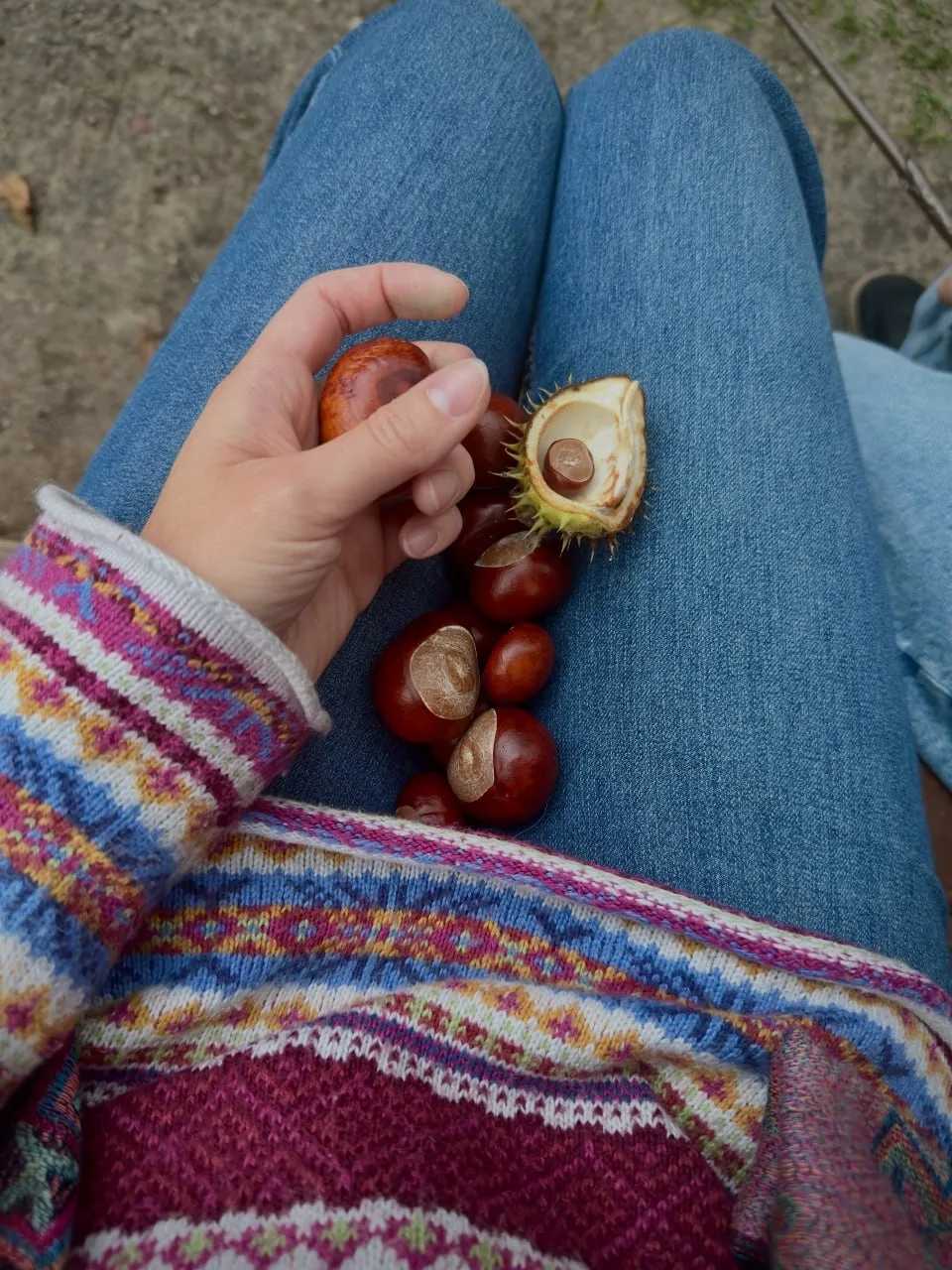 ☕🍰 В октябре всё чаще хочется заглядывать в уютные кофейни, подолгу сидеть у витражног...