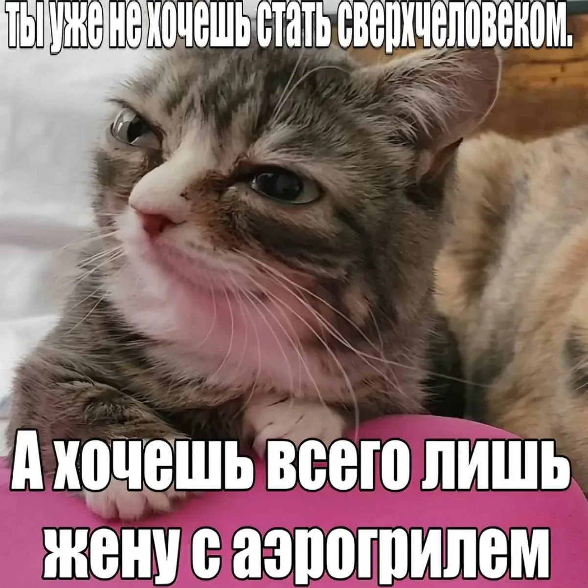 Шутки за -200