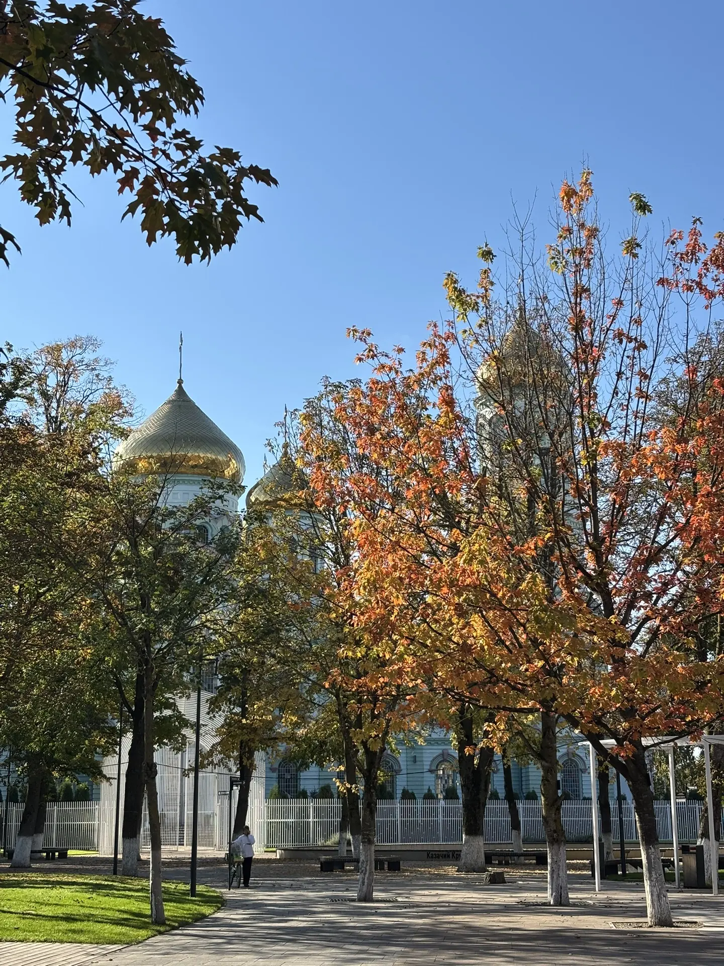 Прекрасное октябрьское утро ☀️🍁