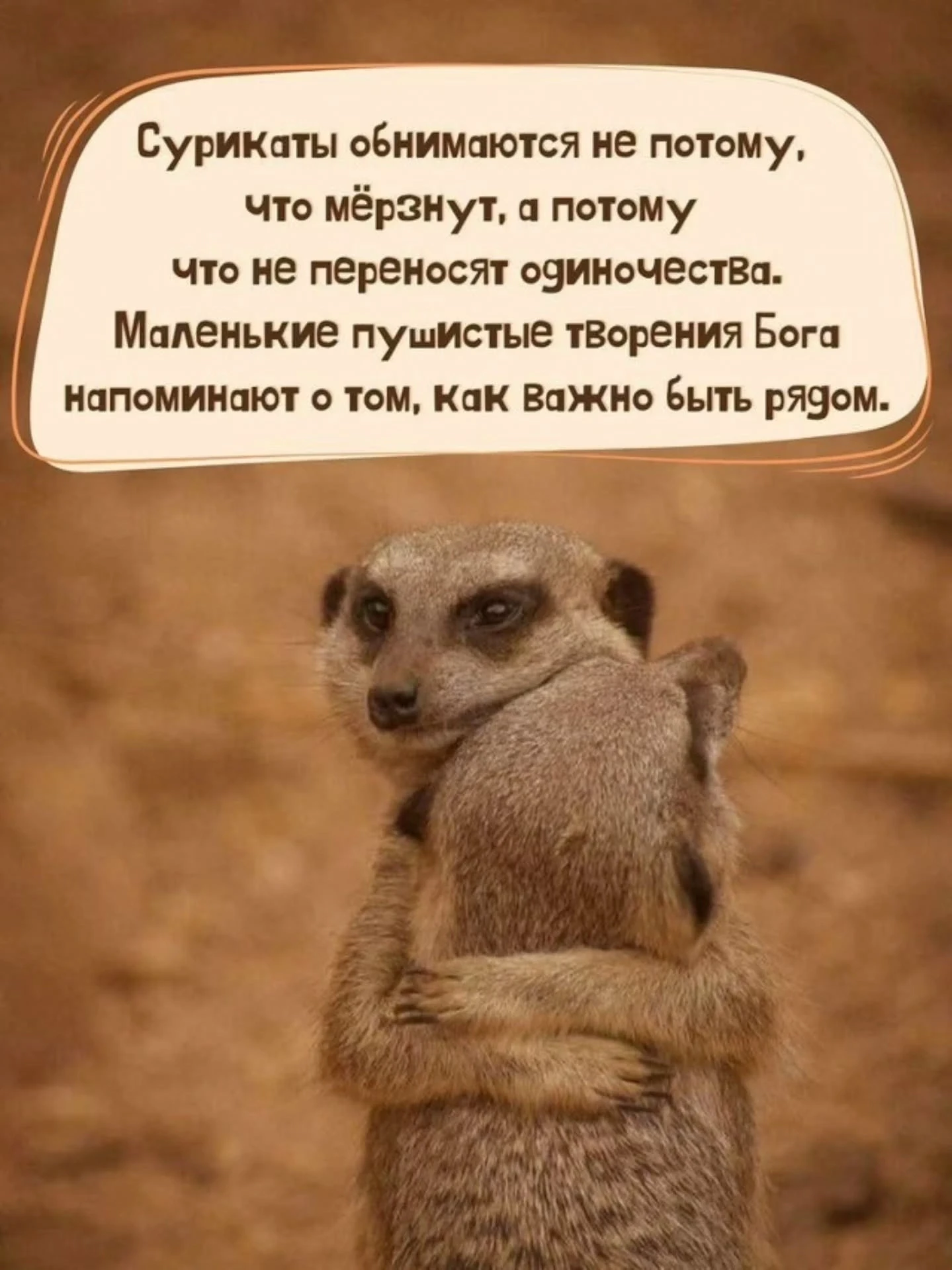 День 11 моего Соляра. Про моё «племя» и силу поддержки 🫂