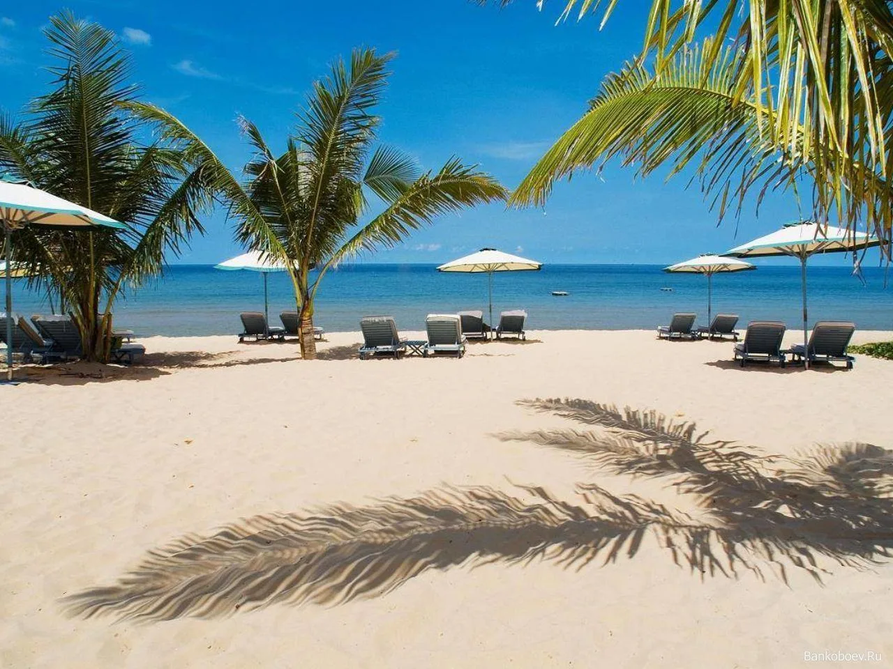 🇻🇳 ТУРЫ НА ОСТРОВ ФУКУОК ПО СПЕЦЦЕНАМ! 🏝✨