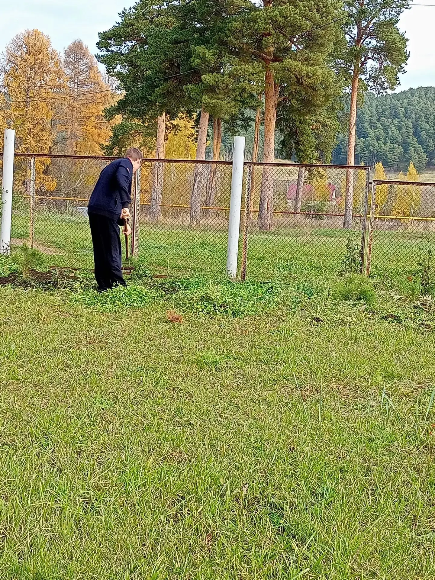 Чистота и порядок — залог хорошего урожая в новом сезоне! 🍂