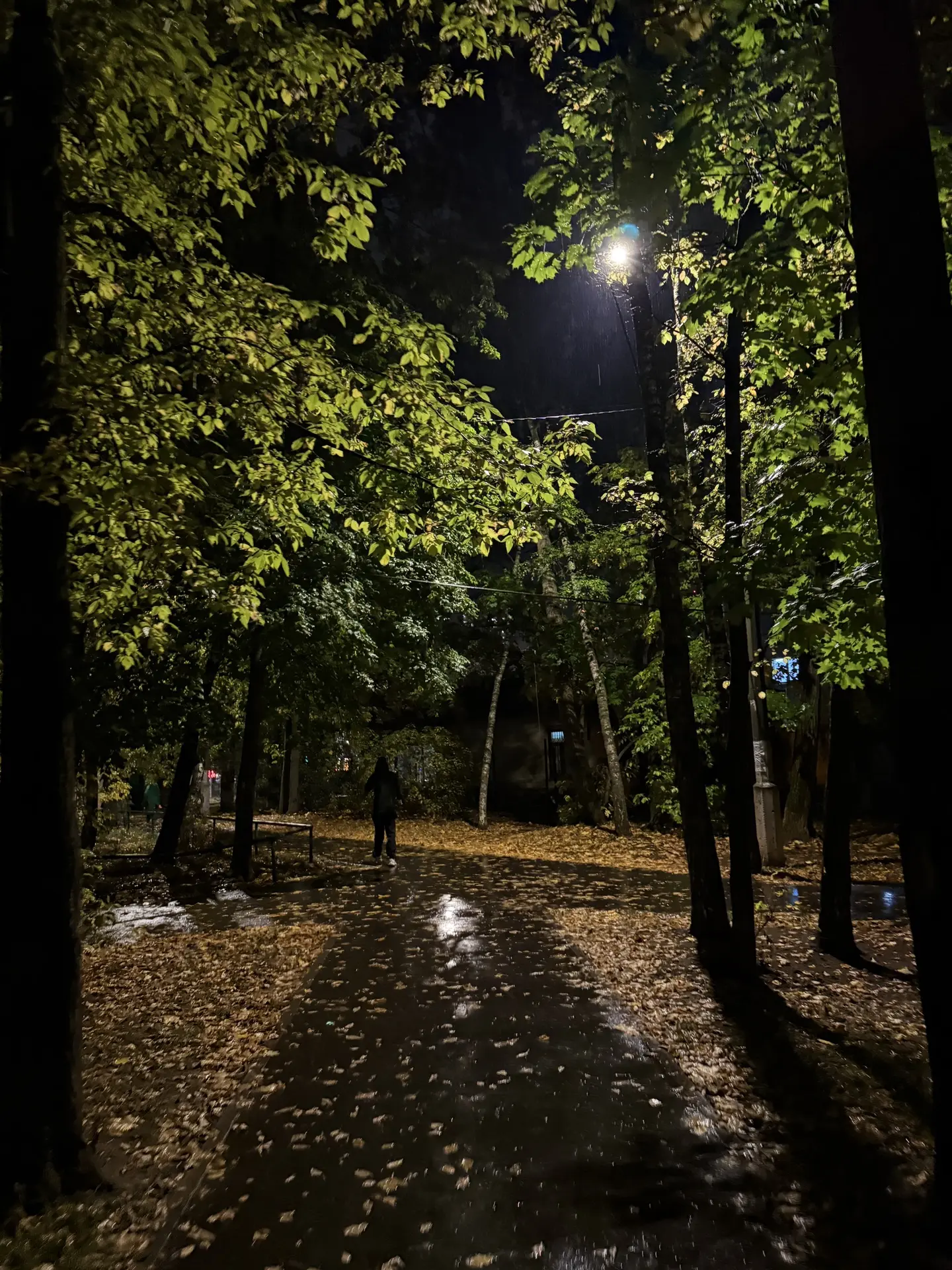 📍Мкр. Южный 🏡🍂🍁
