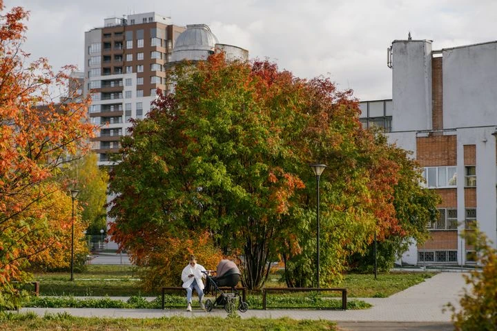 Прогноз на день