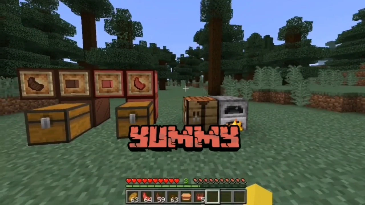 Player's Meat Addon (1.21)