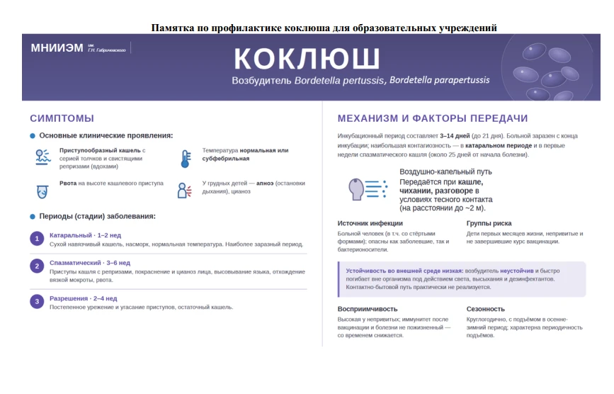 Профилактика коклюша
