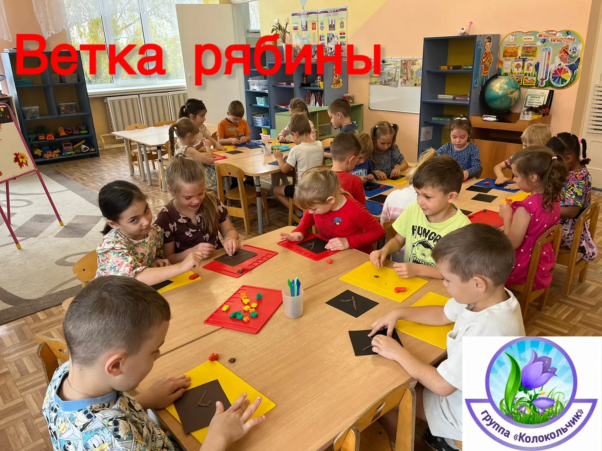 Ветка рябины