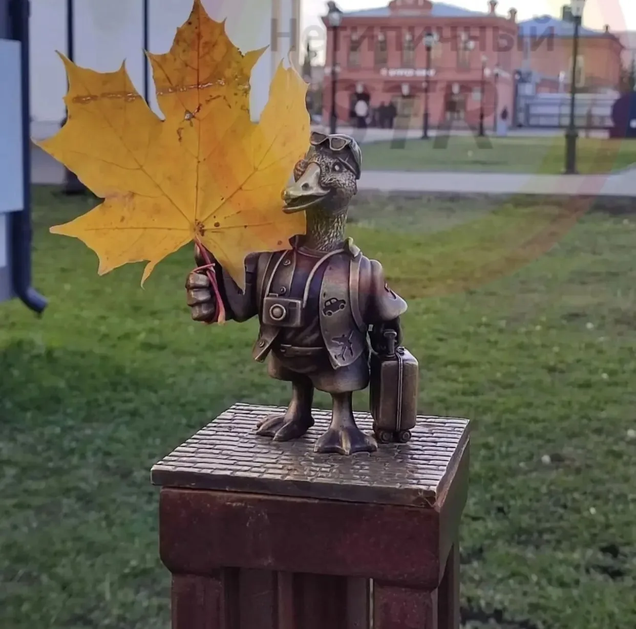 🍁 Осень в Стерлитамаке пришла строго по графику, и первыми к ней подготовились... наши...