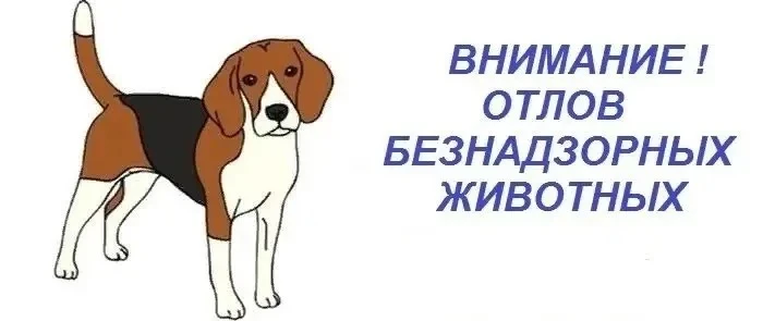 Внимание!!!