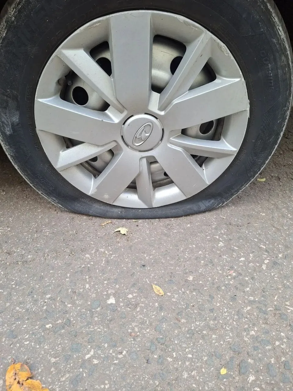 😡На дороге по улице Спортивная, рядом с набережной, где сейчас ведётся строительство э...