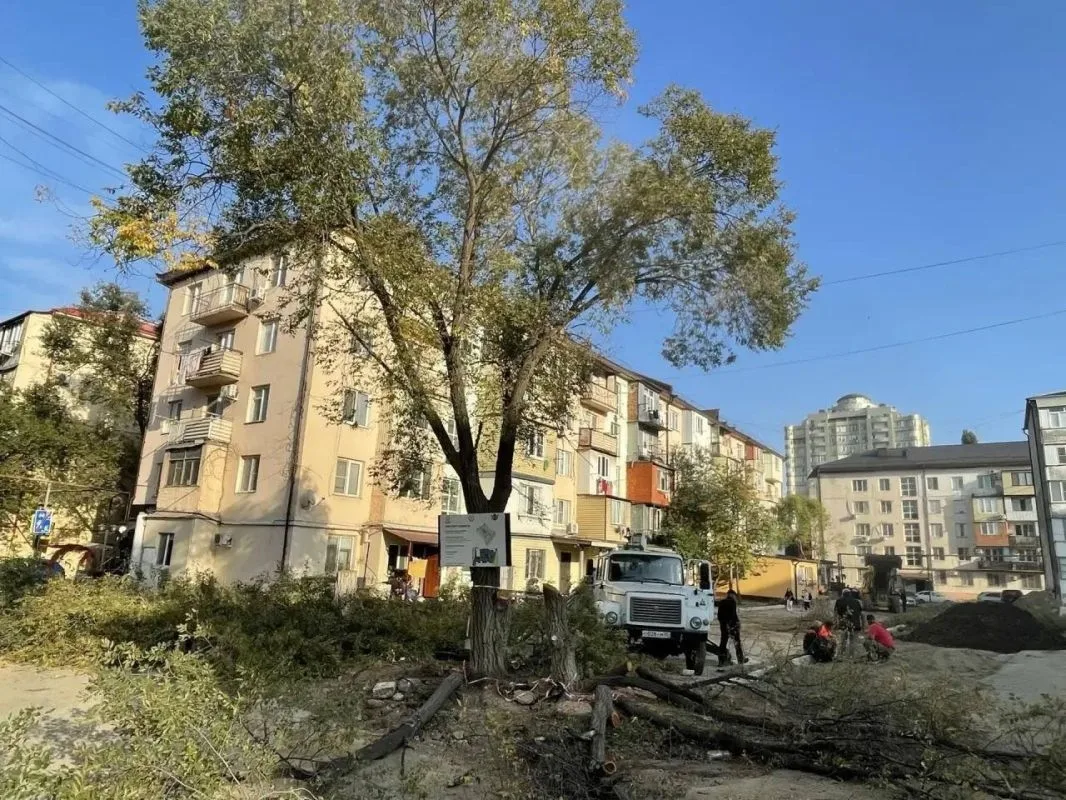 Сотрудниками МБУ «Благоустройство» г. Махачкалы выполнены работы по следующим адресам: