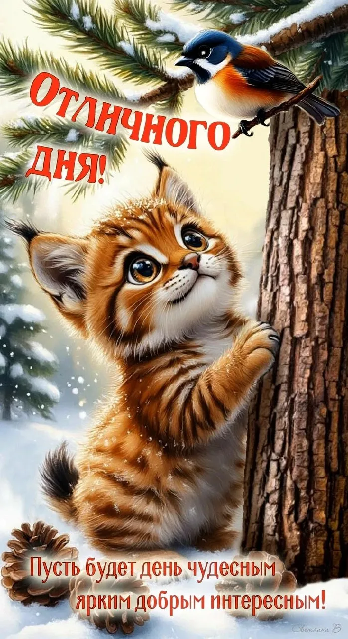 💌 Открытки на все праздники. Подписаться