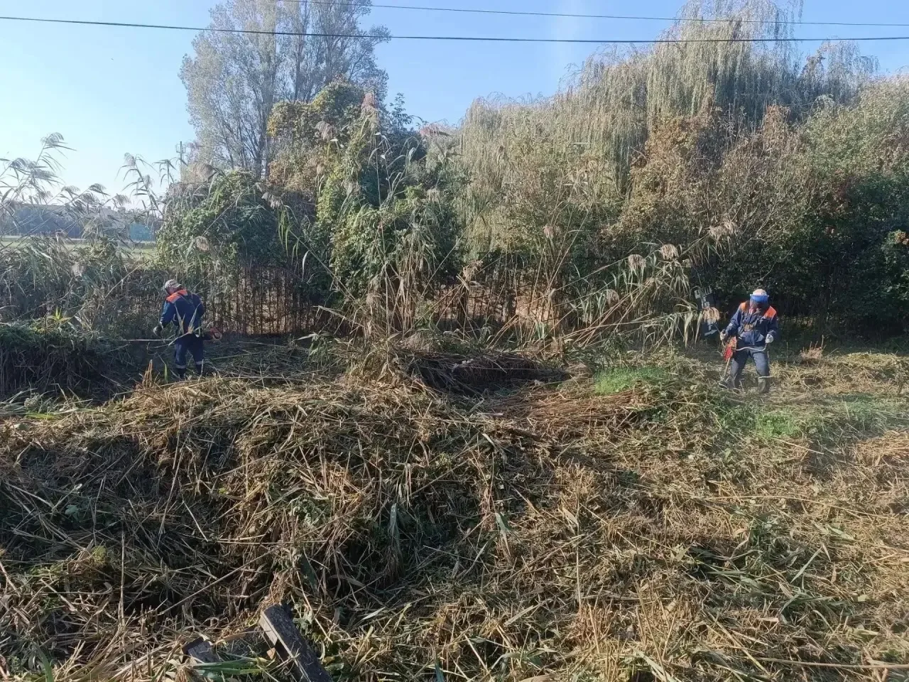 Сегодня, 15 октября, сотрудники муниципального бюджетного учреждения Темрюкского городс...