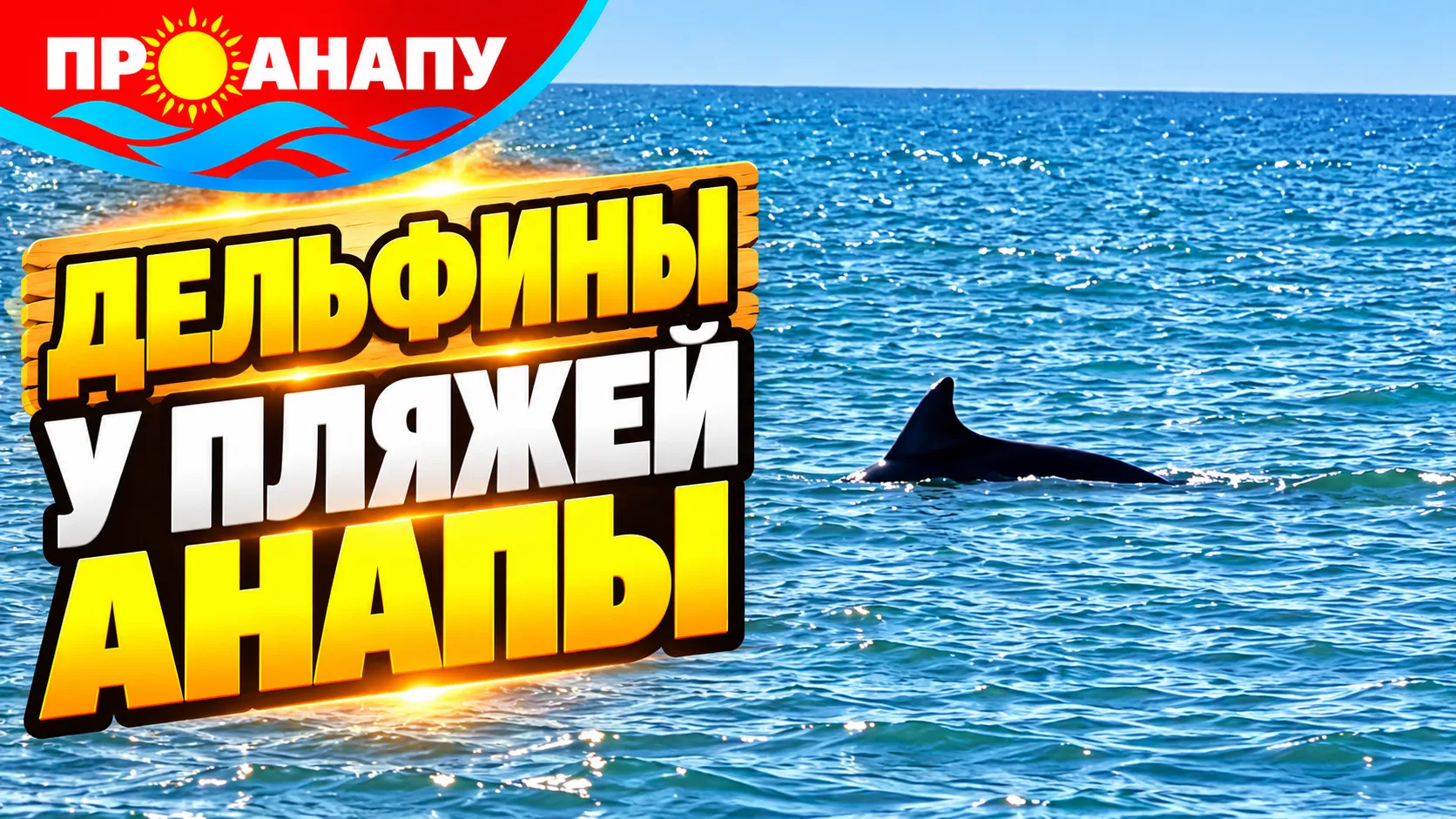 Дельфины появились у пляжей Анапы утром 26 октября