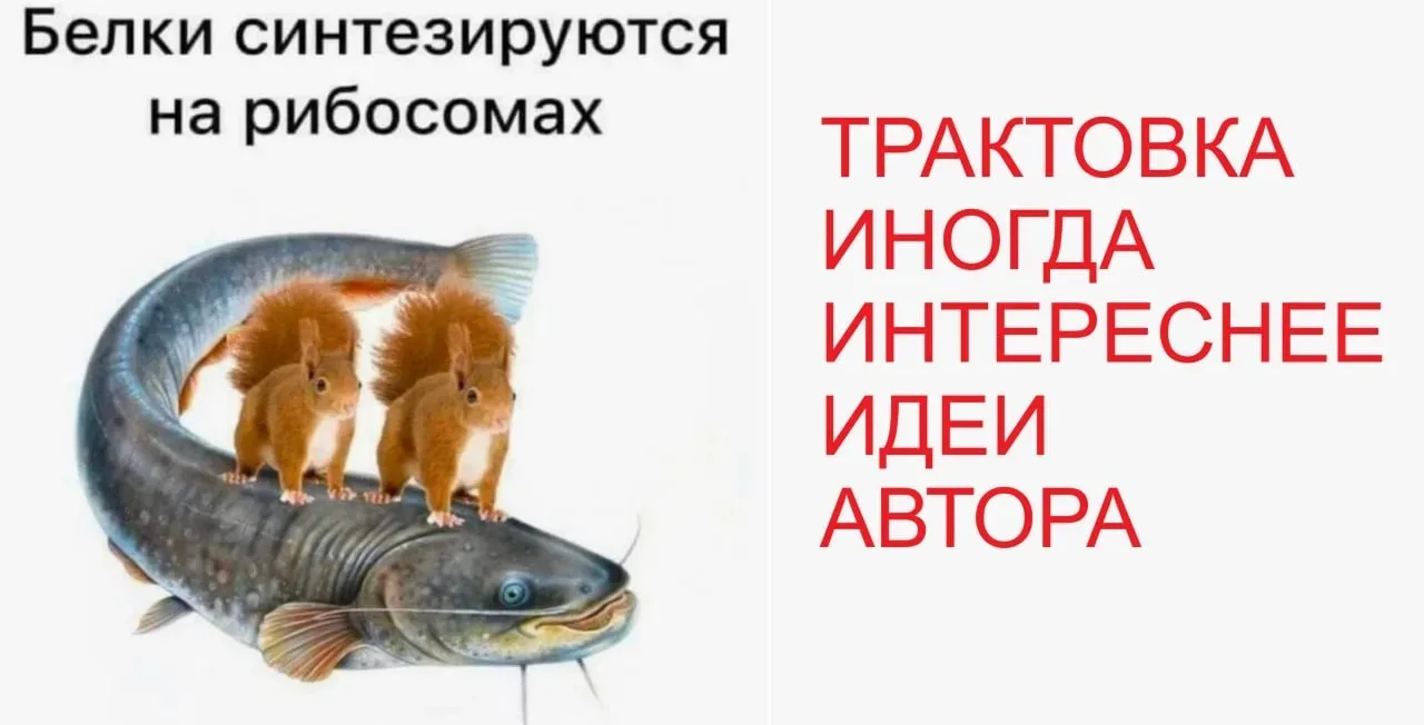 Замечено...