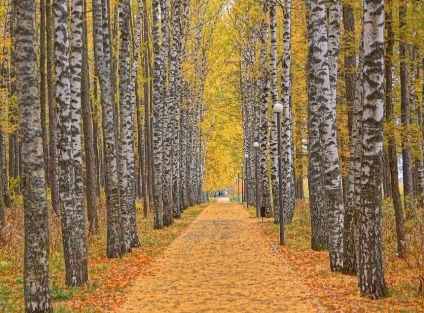 Береговая аллея на Венце🍂🍁🍂
