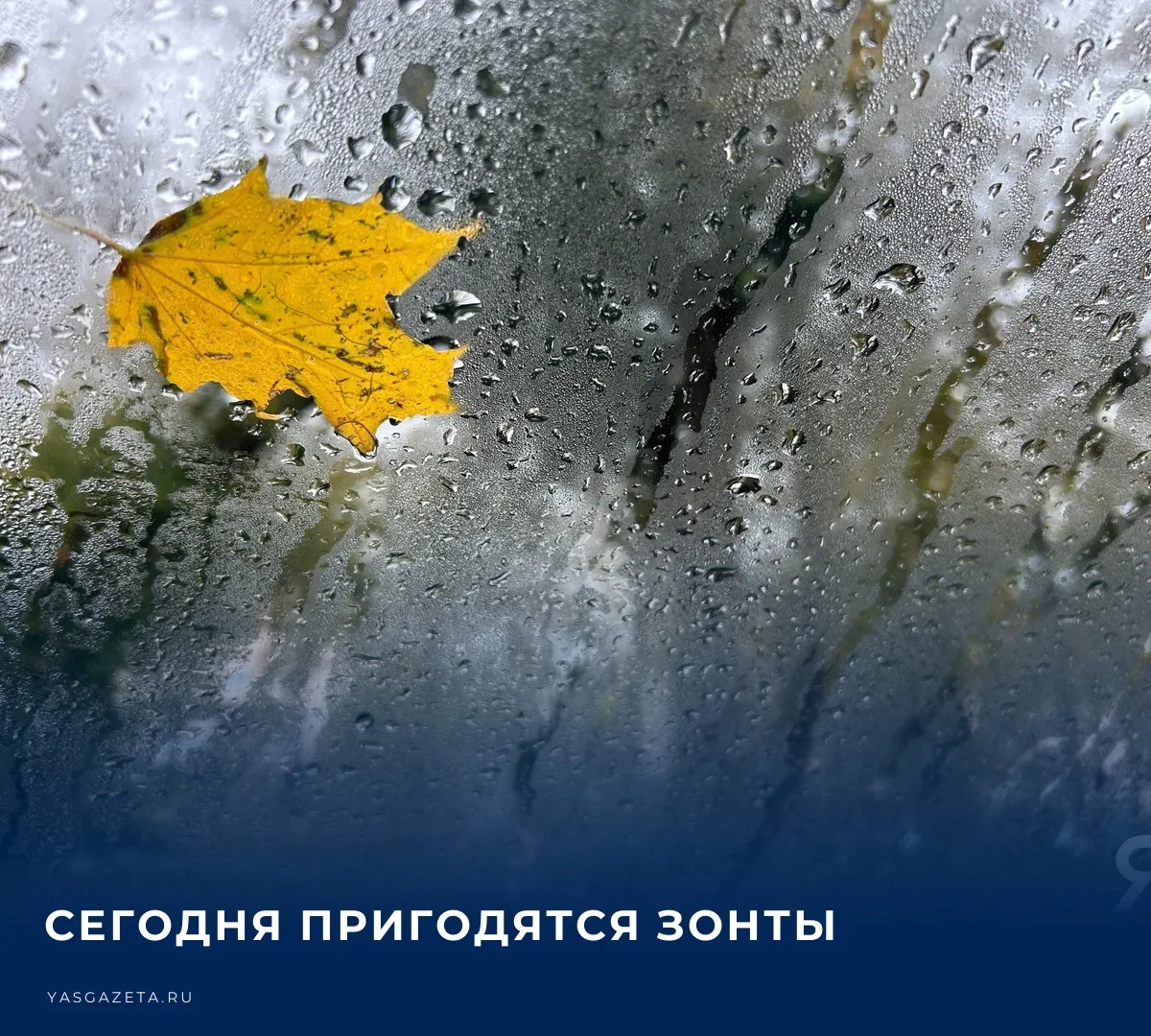 ☁️ По прогнозам синоптиков,13 октября в Ясногорском районе - облачно с прояснением.​