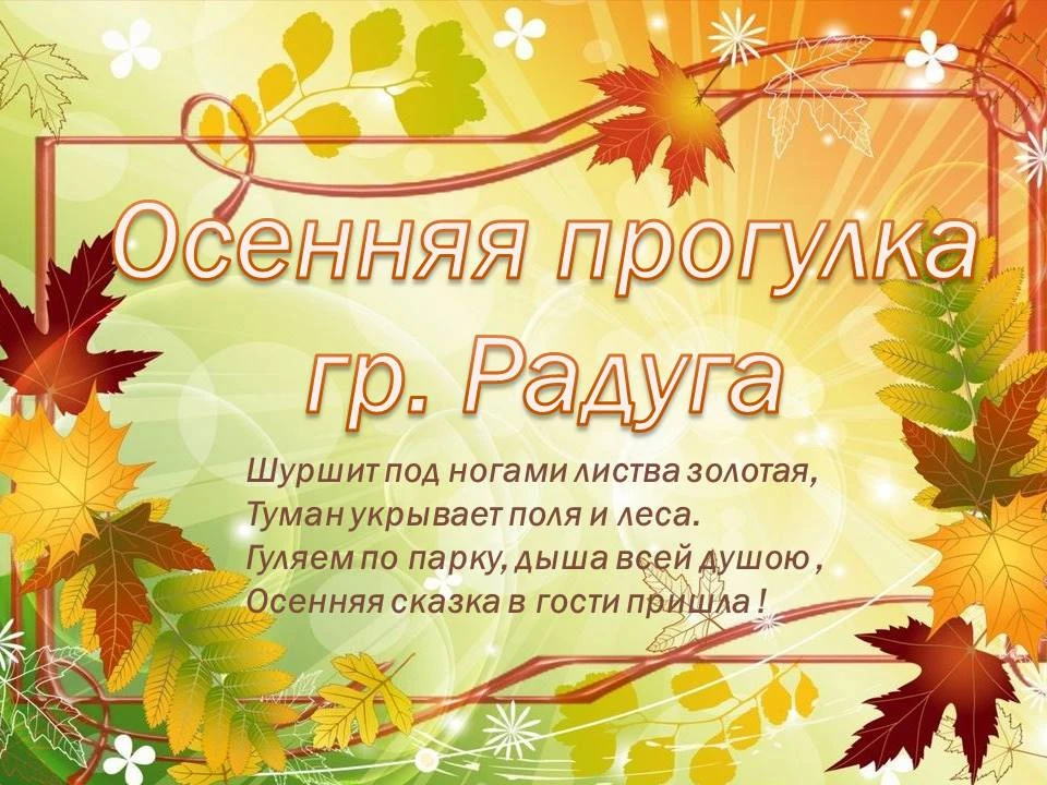 Осенняя прогулка воспитанников группы "Радугу".