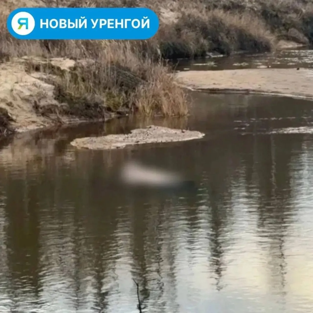 В Новом Уренгое из реки извлекли тело женщины. В Следственном комитете подтвердили факт...