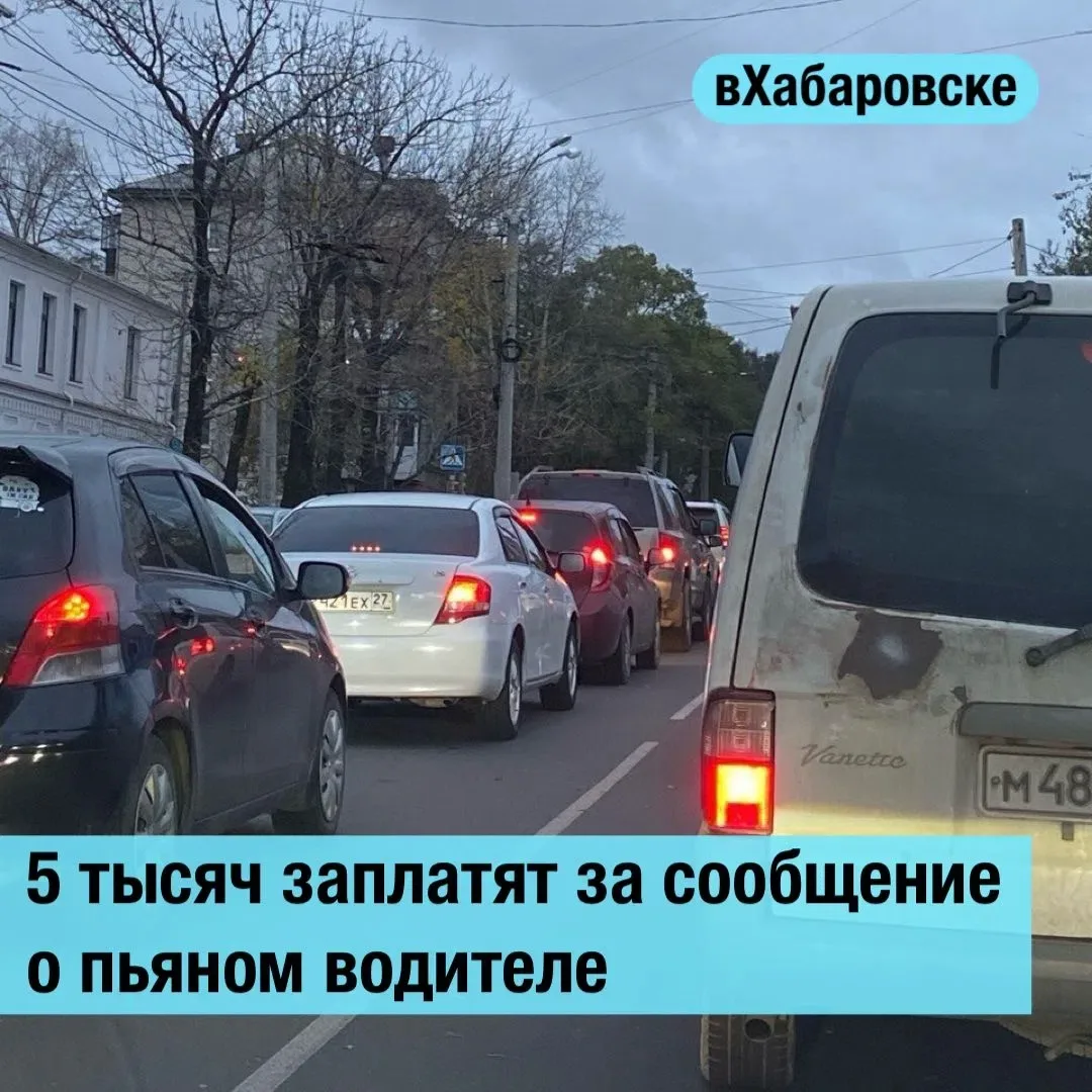 5 тысяч заплатят за сообщение о пьяном водителе