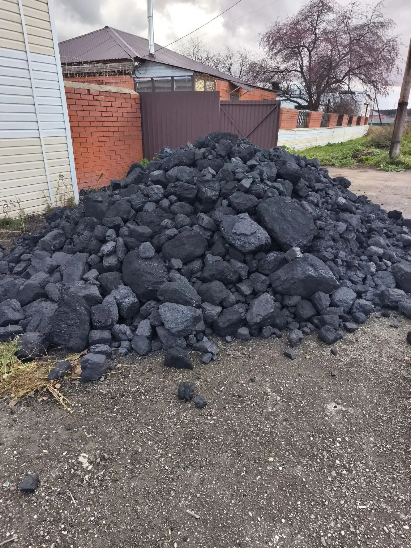 Нам вчера привезли уголек, а сегодня тут уже пусто🙈