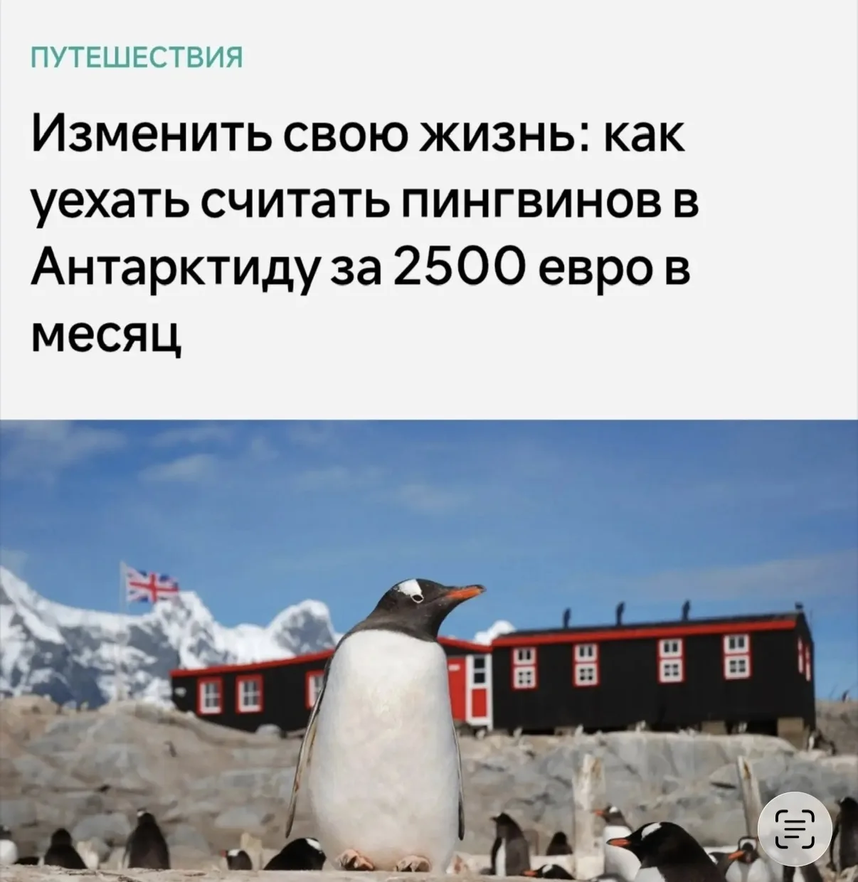 ⚡️Смотрителя за пингвинами с зарплатой 230,000 рублей ищут в Антарктиде.