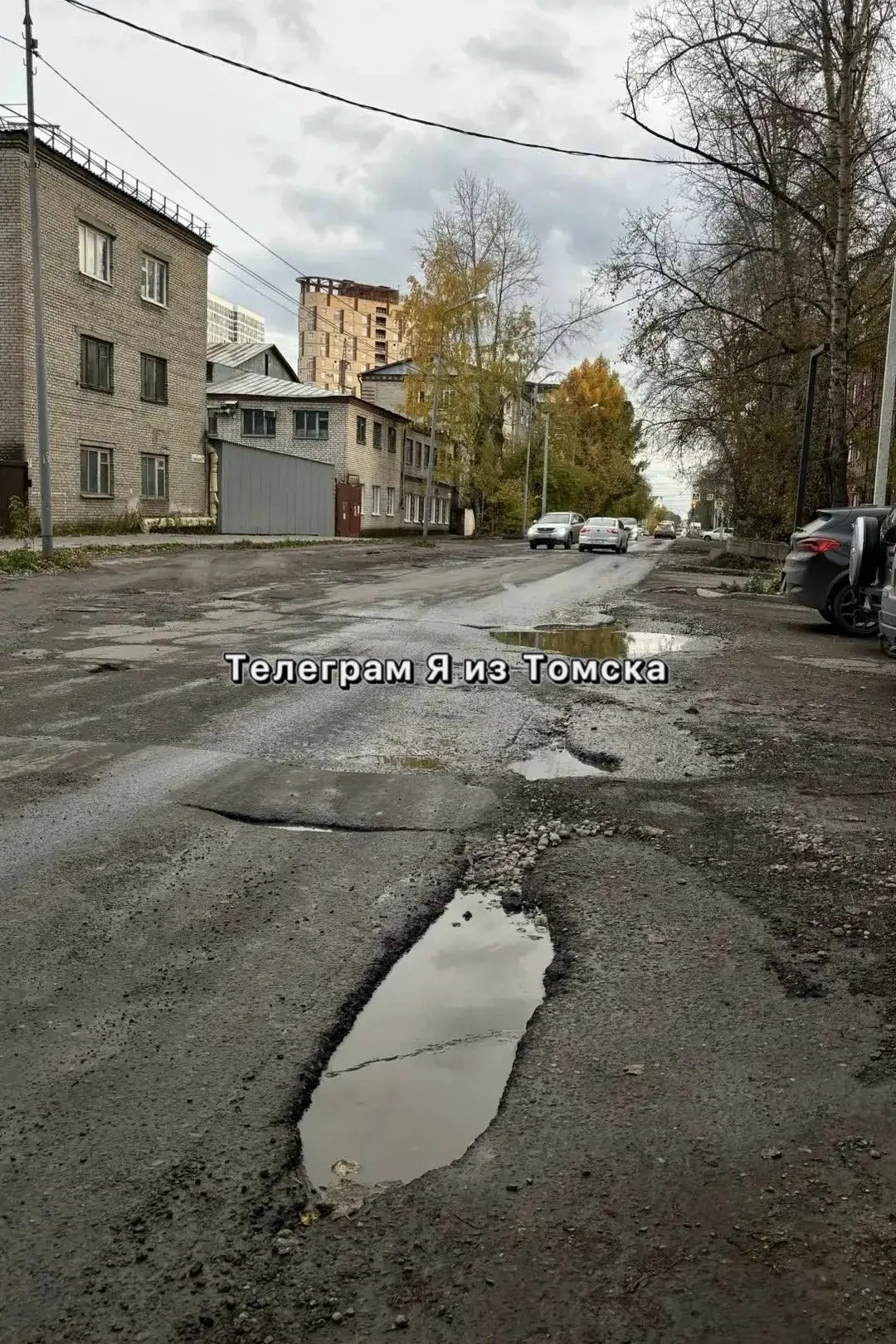 «С каждым годом дорожное покрытие превращается в какой-то кошмар…»