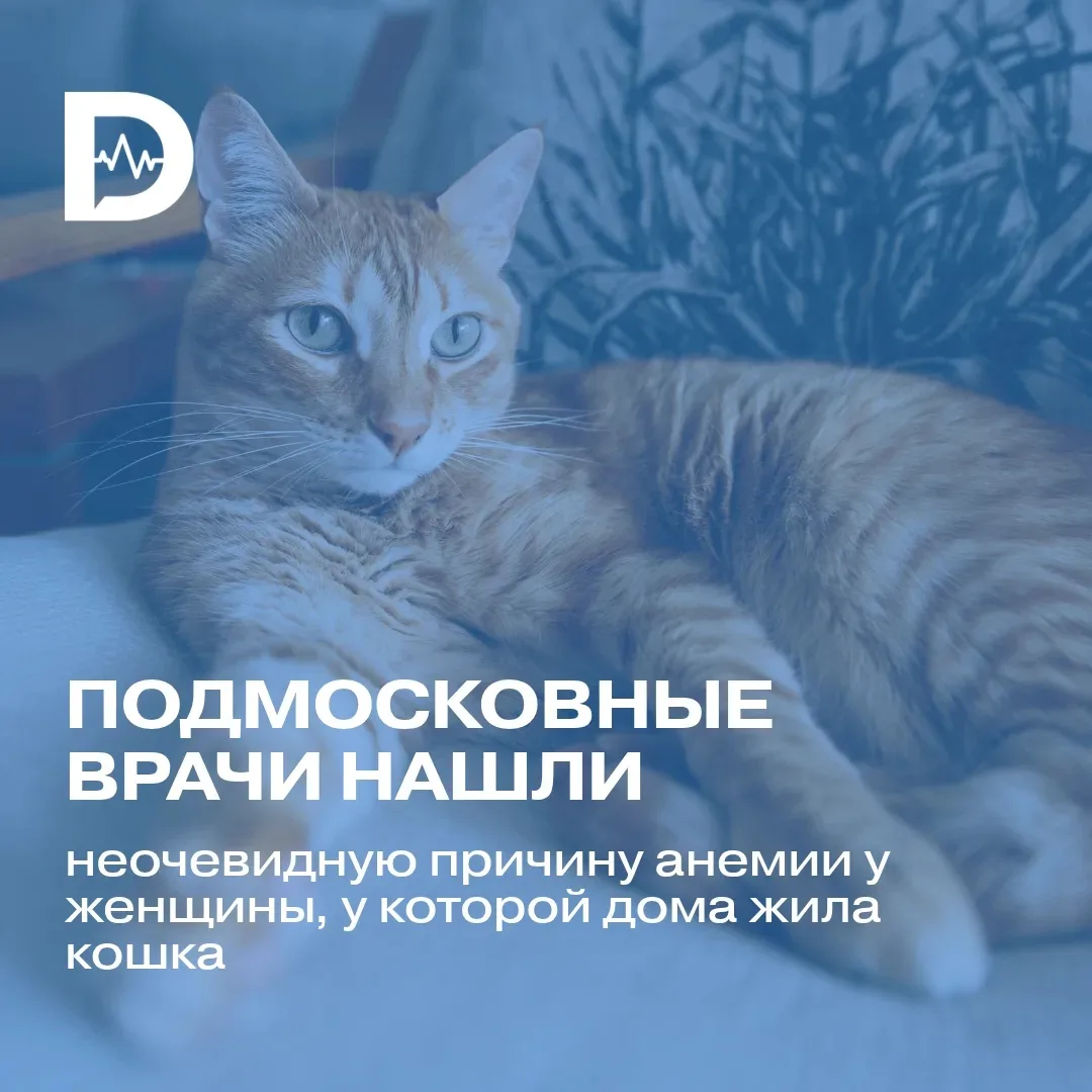 🩸 Пожалуй, стоит проверить уровень гемоглобина!