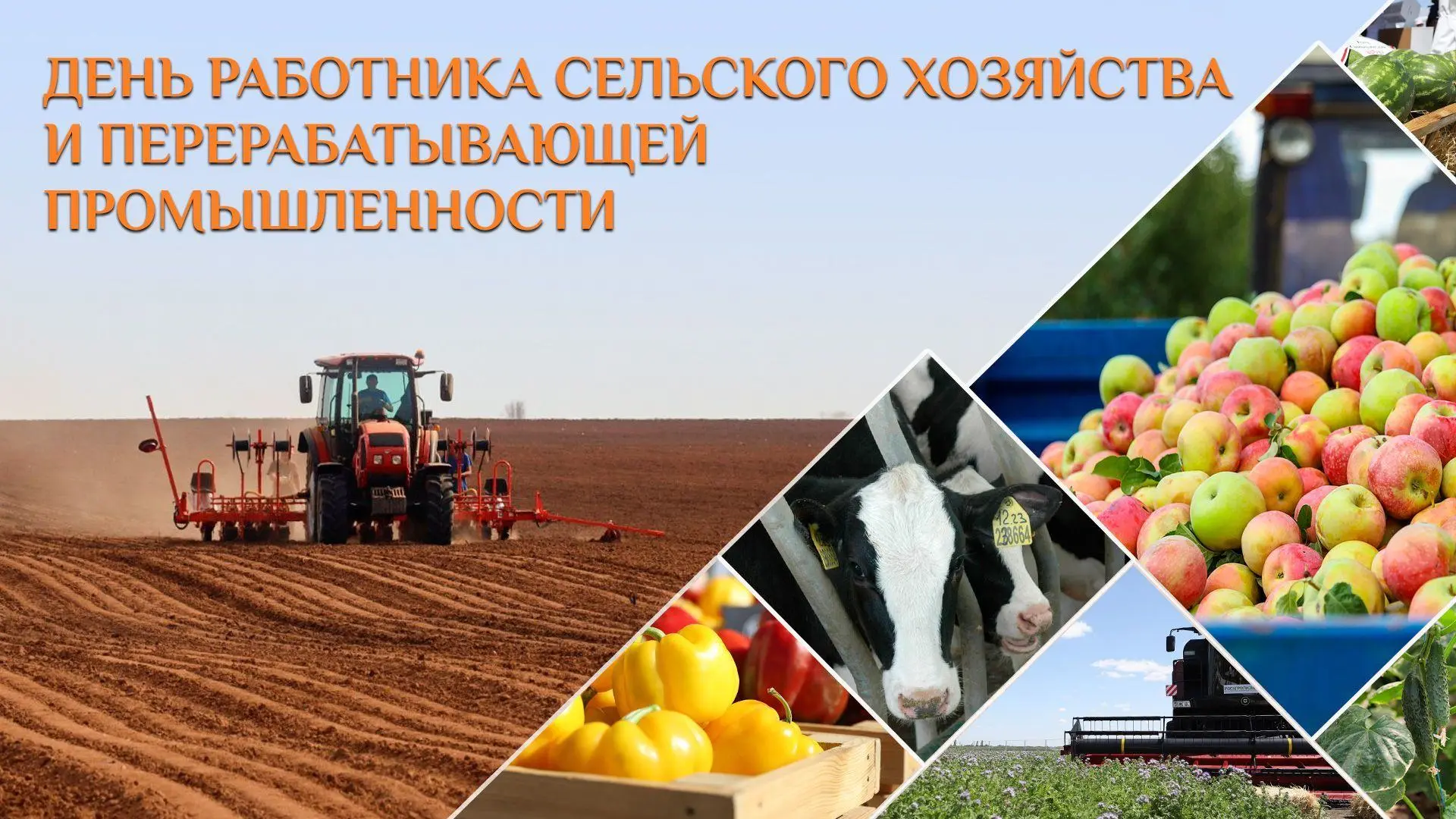 Уважаемые труженики села, работники агропромышленного комплекса и ветераны сельскохозяй...