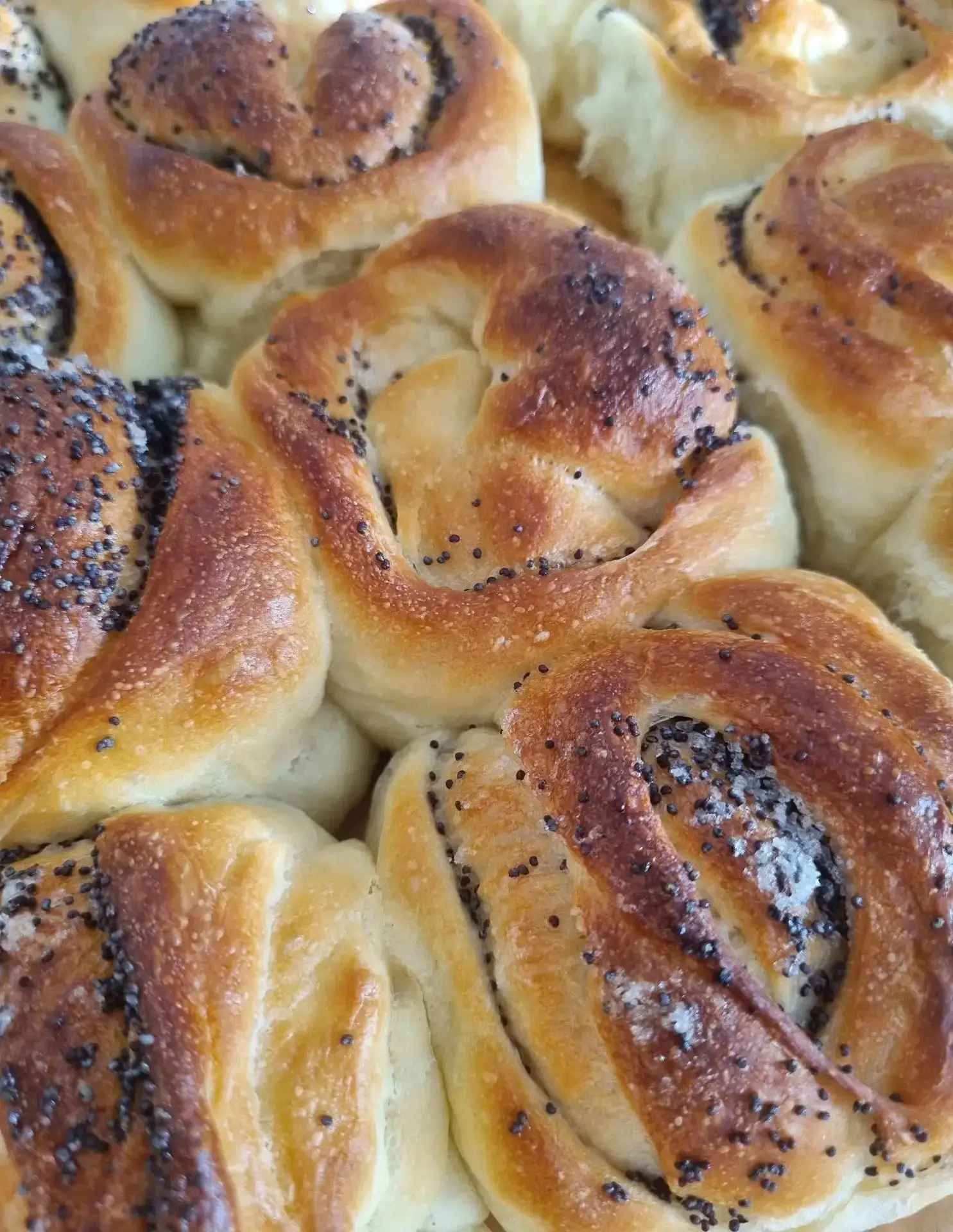Свежие булочки на Донковцева и Глазунова 🥐