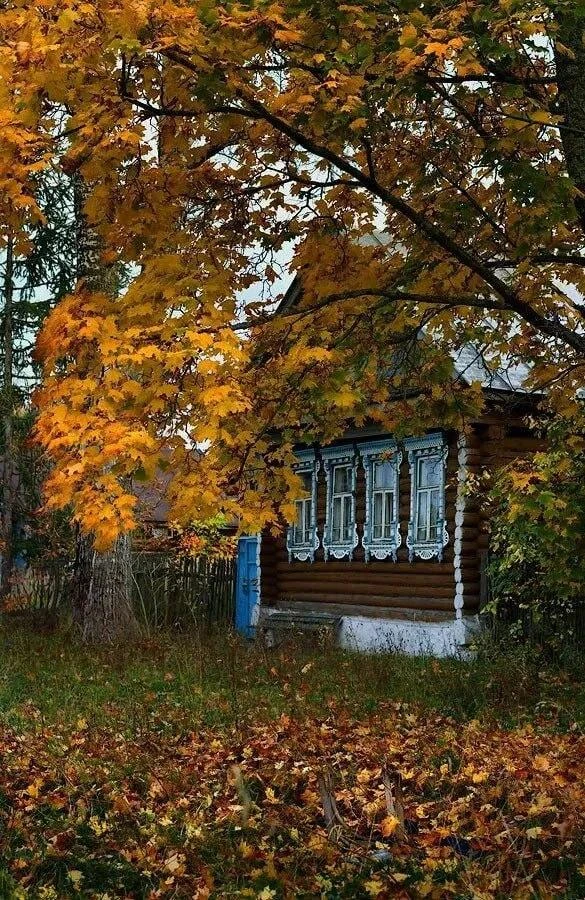 Листья падали в печали.