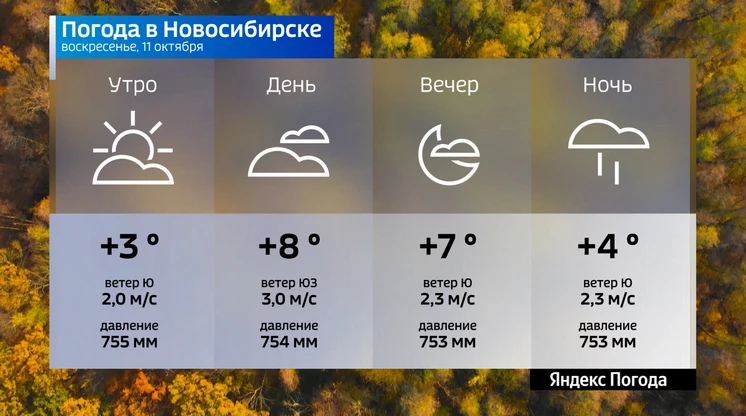 📌  Прогноз погоды на 11 октября 2026 года в Новосибирской области.