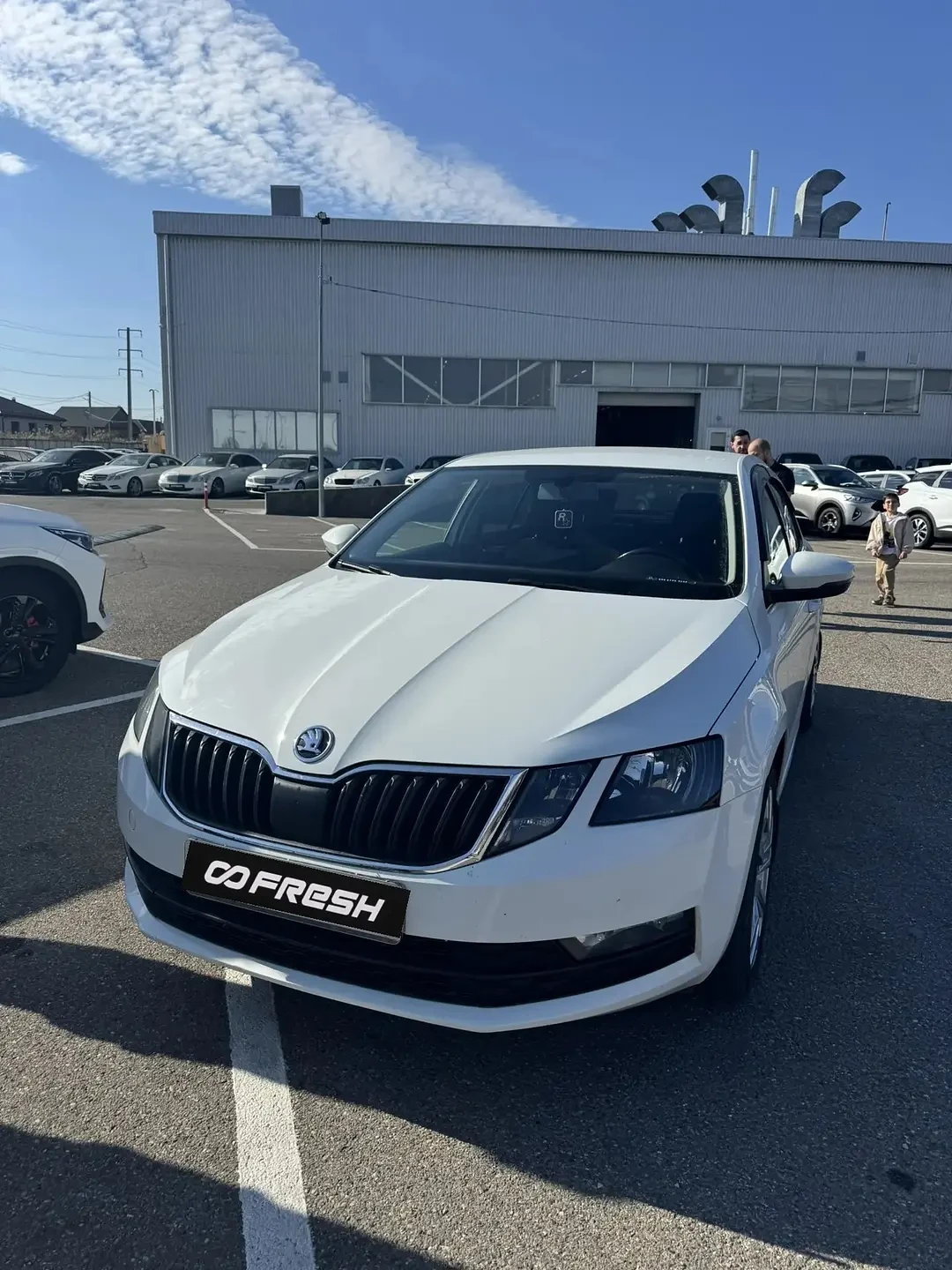 Skoda Octavia, 2019