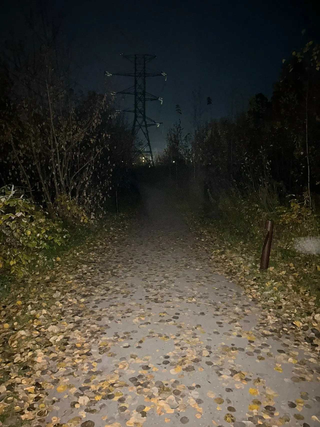 От подписчика