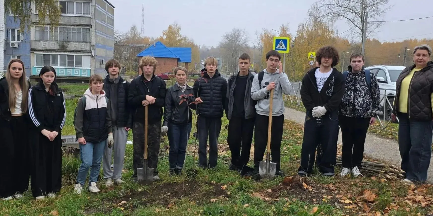Более 20 рябинок высадили  сегодня пронские школьники вдоль пешеходной дорожки на улице...