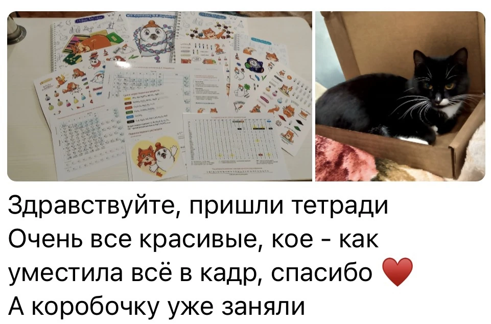 В модуле Генетика ученики нашего курса учатся по рабочим тетрадям🫶